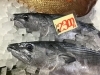 「魚魚市場鮮魚コーナー「カツオ・ホウボウ」です♪」
