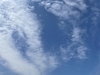 道端の小さな花にも元気をもらいます まいぷれ新居浜 まいぷれ西条編集部のニュース まいぷれ 西条市
