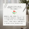 「【2025年5月イベント 住まいの個別相談会】新築・リノベーションなど住まいのこと、家づくりのプロが丁寧にお答えします。」