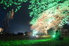 「【サンデーいわふね】4月19日号の主な内容は…」