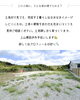 「【土地情報】65坪292.5万円～販売中！長崎／波佐見／新築／上山建設」