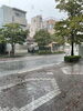 「島唄 / THE BOOM  みんなで歌謡ポップス」