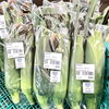 「8月土日・祝日は、『高原とうもろこし』屋外特設会場にて販売します！」