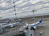 「羽田空港で飛行機見学！ANA787を間近で堪能してきました」