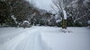 「大雪の大佐山」