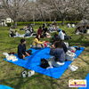 Lunch Time「Teacher'sコーナー239号 2026 Hanami Event【千葉のならいごと　英会話スクール】」