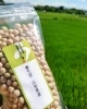 乾燥大豆!蒸し豆に(^^)/「売れ筋商品のご紹介(^^)/《西京区 大原野 上田とうふ直売所 上田とうふ 大豆 豆腐 おいしい豆腐》」