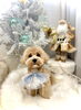 クルくん「MerryXmas🎄」