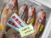 「魚魚市場鮮魚コーナーおすすめは「竹崎ガニ」です♪」