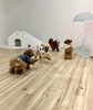 わーい😆「ましゅまろ幼稚園🐾」