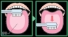 「歯」だけではなく「舌」も綺麗にましょう。「インフルエンザと歯磨きの関係　　　　　　　　　日常の簡単なケアで予防ができます。」