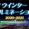 東京ドイツ村　ウインターイルミネーション