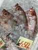 「魚魚市場鮮魚コーナーは「クロムツ」です♪」