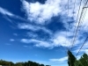 「早渕川は今日も平和です！」