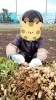 こうやってとるんだよ!「落花生収穫」