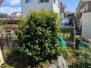 before「伐採・刈り込み・除草作業事例紹介」