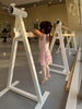 「2・3歳から始めるプレ親子クラス！身体を動かす楽しさを育むレッスン風景」