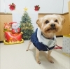 シュンちゃん「今日のお友達」