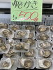 「本日岩牡蠣販売致します」