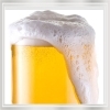 生ビール　（中）