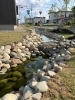 雪を溶かすための堰。メダカもいました。「秋田県美郷町へ研修へ行ってきました。」