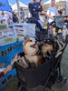 「愛犬とのおでかけに！あいぶん11月のイベント出店スケジュール」