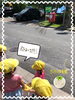 ポストあったよー♪「久しぶりのお散歩へ♪【交野市・小規模保育園】」