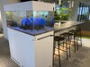 青いディスプレイ「季節の装飾をした水槽/静岡/熱帯魚/水槽レンタル/島田市/癒し/内装」