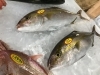 「魚魚市場鮮魚コーナーおすすめは「のどぐろ・エビスダイ」です♪」