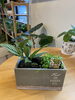 「植木鉢入荷しました」