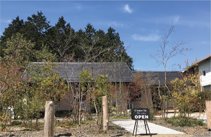 福知山カフェ Coffee Lunch Green グリーン 煮込みハンバーグごはん 舞鶴ランチ 綾部ランチ 福知山ランチ 特集 まいぷれ 舞鶴 綾部 福知山
