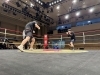 「『エアマスター後楽園2025』決勝戦！未経験から始められます！【荒川区町屋 アキバボクシング＆フィットネスジム】」