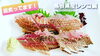 島根県産レンコ鯛【2人前500円(税込)】「○本日のお刺身【釣りもん・島根県産レンコ鯛】【定置もん・島根県産ハマチ】」