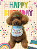 「Dog salon mofu mofu　余市町」