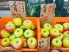「美味しいリンゴが勢ぞろい！【お肉・野菜・果物は清武町の黒木商店で♪】」