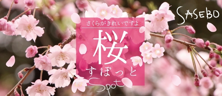年の桜スポット特集 佐世保市 佐々町 波佐見町 川棚町の花見スポット まいぷれ 佐世保 年の桜スポット特集 佐世保市 佐々町 波佐見町 川棚町の花見スポット まいぷれ 佐世保