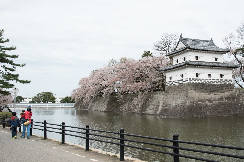 新発田城址公園桜まつり へ行ってきました まいぷれ新発田編集部 勝手に盛り上げ企画まとめ まいぷれ 新発田 胎内 聖籠