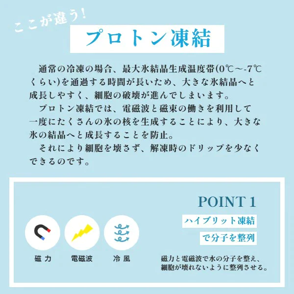 「甘みとコクが広がる至福の味わい🫛丹波産黒豆枝豆のご紹介」