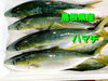 「金曜日恒例！新鮮なお刺身と手づくりのお惣菜を販売します‼️」