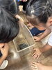 「カエルさん🐸」