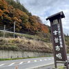 「明日11/18(月)『市場の日』イベント開催します！」