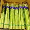 「「岩手県産　アスパラガス」　が出荷されましたー♪♪」