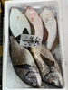 「本日鮮魚入荷致しました」