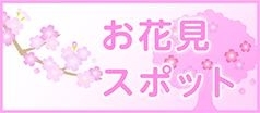 北上・一関・奥州のお花見スポット♪