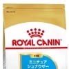 RC BHN ミニチュアシュナウザー　子犬　1.5kg