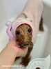 ララちゃんパック中〜「冬のオプションキャンペーン　^ - ^」