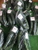 きゅうり「コテラス直売所より新鮮お野菜入荷のお知らせ♪」