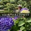 【水戸】水戸のあじさいまつり特集！【イベント】
