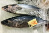 「魚魚市場鮮魚コーナーおすすめは「天然ぶり・ハガツオ」です♪」