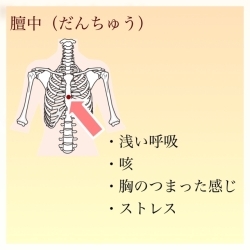 ツボのご紹介です Apple美容サロン 鍼灸整骨院アップルのニュース まいぷれ 和歌山市 ツボのご紹介です Apple美容サロン 鍼灸整骨院アップルのニュース まいぷれ 和歌山市